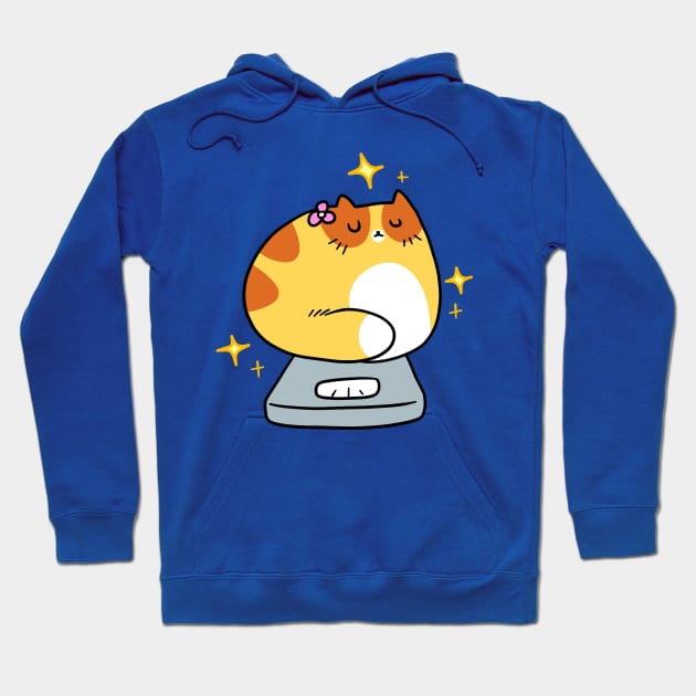 Cat sitting on a Scale Hoodie by saradaboru